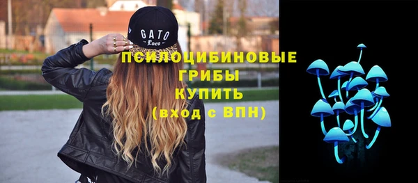 гидра Алзамай