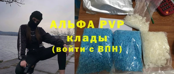 стаф Алексин