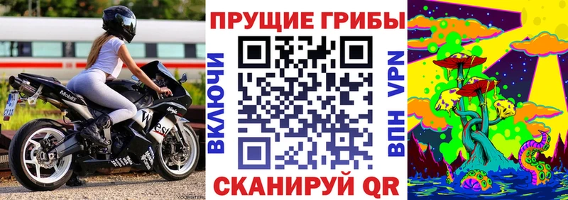 Галлюциногенные грибы мицелий  наркота  Хабаровск 